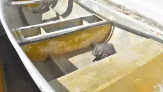 Visitantes de Chicxulub Puerto usan las lanchas pesqueras como botes de basura