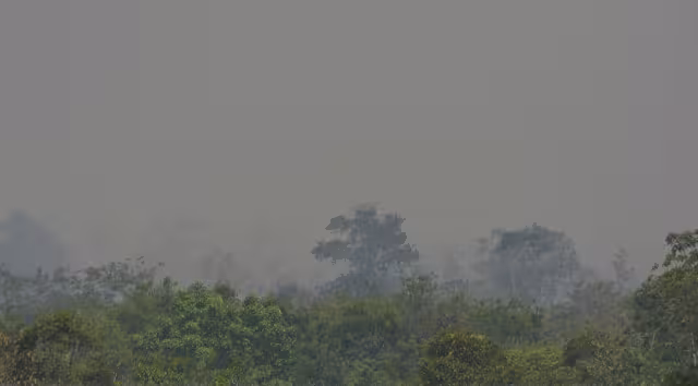 Una gran nube de de humo se ha formado por el incendio en Cancún