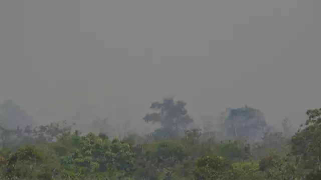 Una gran nube de de humo se ha formado por el incendio en Cancún