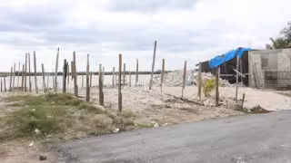 Manglares de Progreso agonizan entre basura, rellenos ilegales y expansión urbana