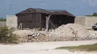 Invasión de terrenos en Chicxulub Puerto devora la ciénaga y amenaza al humedal