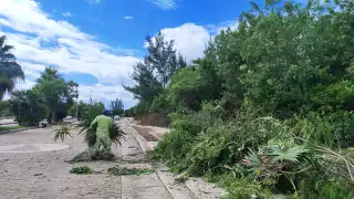 La zona es refugio de peces, aves y reptiles, además, cuenta con gran diversidad de flora