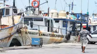 Retornan embarcaciones a Progreso hasta con cuatro toneladas de mero