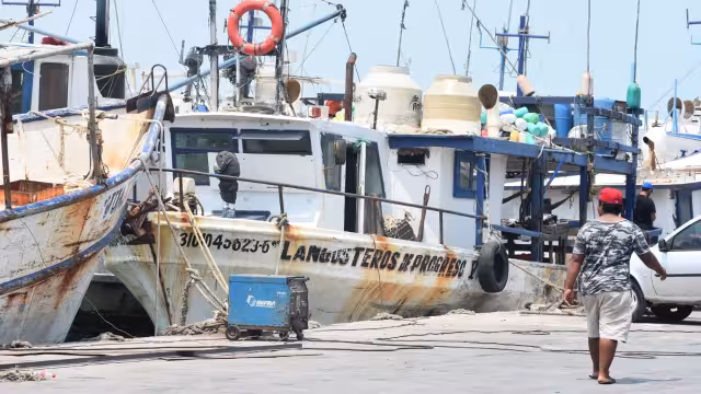Comienza el arribo de las primeras embarcaciones de la flota mayor que salieron a pescar mero