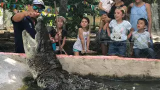 Biólogos de la UMA Chan Aayin exponen la importancia del cocodrilo en el ecosistema de humedal