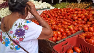 En tres meses, el tomate sube 20 pesos