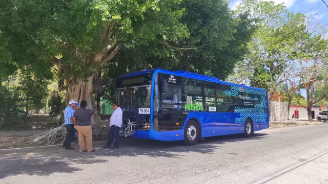 Los autobuses estarán disponibles la próxima semana y brindarán 15 días de servicio gratuito