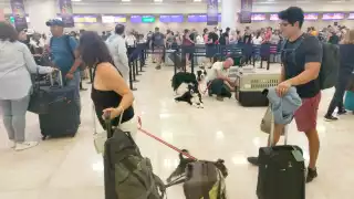 a mujer relató que de los tres peludos, “Tenoch” es el más sensible, ya que se deprime con la ausencia de su pareja, quien partió hacia CDMX