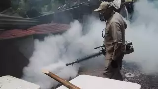 Dengue en descenso: solo 14 casos en 2025, comparado con 488 en 2024