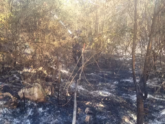 El uso de fuego durante este período puede ocasionar graves incendios.
