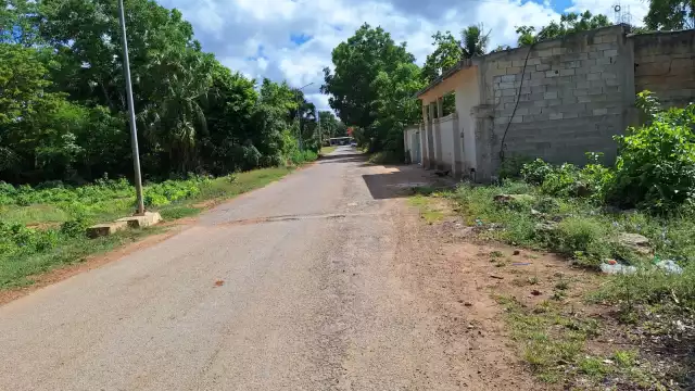 Familiares de la mujer pidieron que fuera trasladada a un hospital psiquiátrico