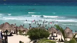 Lugares que debes visitar y evitar durante la temporada alta en Cancún