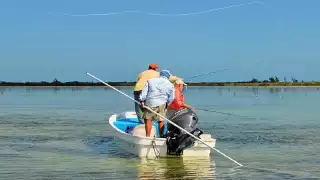 Las autoridades realizan labores para identificar cuerpos localizados entre Dzilam y Telchac