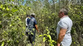  Espita construirá un centro  productor de abejas reinas