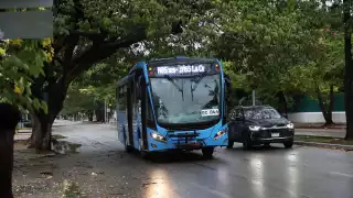 Va y Ven en Mérida: Conoce qué rutas comenzarán a operar este fin de semana