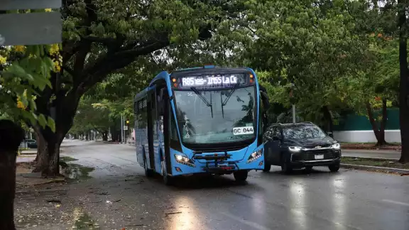 Habrá más rutas de Va y Ven durante las próximas semanas Habrá más rutas de Va y Ven durante las próximas semanas