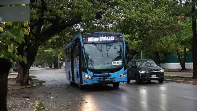 Habrá más rutas de Va y Ven durante las próximas semanas