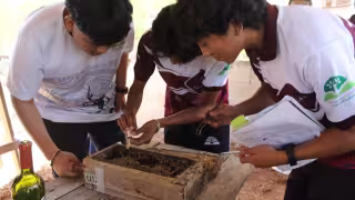 Estudiantes impulsan  la preservación de la abeja melipona en Sanahcat