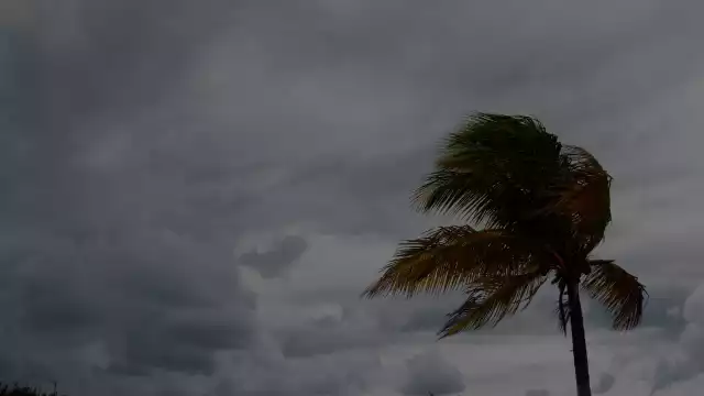 El cordonazo de la Santa Cruz no tiene fecha exacta 