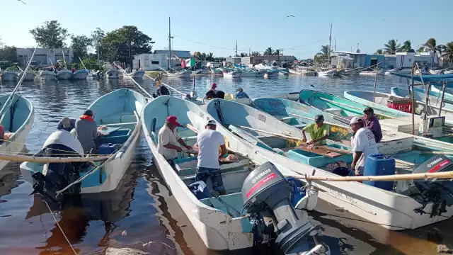 El clima reciente está a favor de los pescadores, que mantienen buen ánimo en sus jornadas
