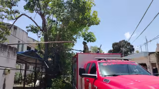 Consejo Estatal llama a evitar basura en calles durante temporada de lluvias
