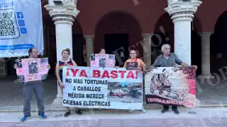 Animalistas denuncian incumplimiento de cambios en jornadas de calesas jaladas por caballos