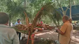 Durante la ceremonia diferentes alimentos y objetos son dispuestas de un altar