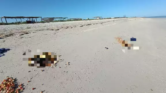 Reportan misterioso hallazgo en el Puerto de Sisal