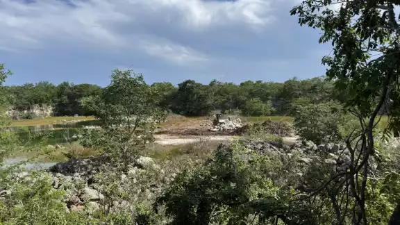 Obras ilegales y proyectos inmobiliarios continúan arrasando selvas, aguadas y zonas históricas