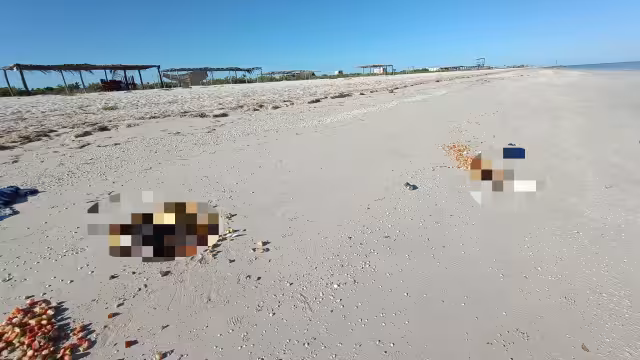 Reportan misterioso hallazgo en el Puerto de Sisal