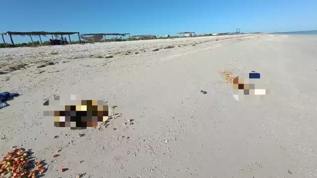 Reportan misterioso hallazgo en el Puerto de Sisal