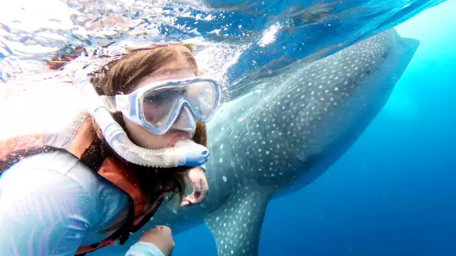 Los prestadores de servicios contemplan movilizar 120 embarcaciones en el primer día de actividades, con hasta 10 visitantes