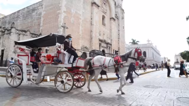 Activistas por los animales consideran que si no se aplica un castigo ejemplar el caso quedará en el olvido