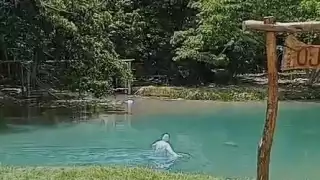 Originario de Chekubul y residente de Ciudad del Carmen, el joven regresó de visita y fue visto tomando con amigos antes de meterse solo al arroyo donde perdió la vida.