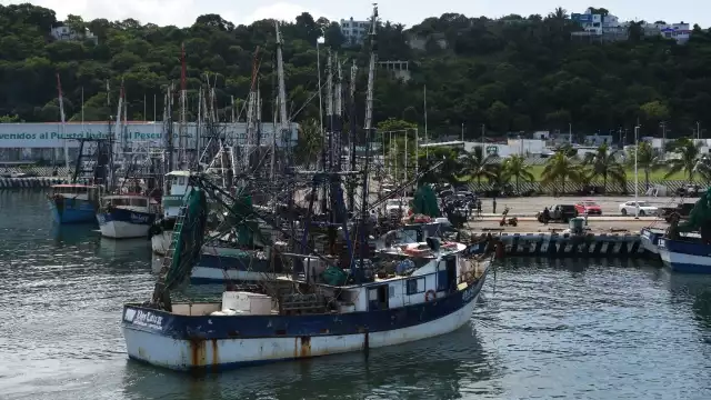 La veda del camarón en Campeche y Quintana Roo se aplazó 21 días por acuerdo entre productores y autoridades.