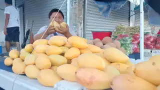 A diferencia de otros años  esta vez bajó la cosecha