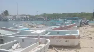 Fallece un buzo luego de sufrir descompresión en plena temporada de veda de langosta