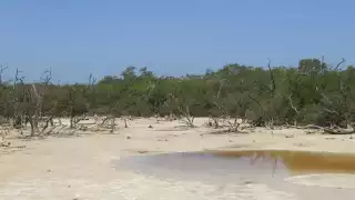 Aumenta la sequía en el  Oriente de Yucatán; se  evaporan ojos de agua