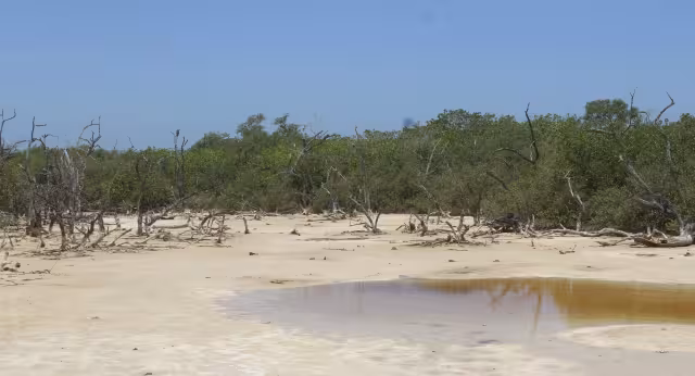 Cuerpos de agua presentan descenso en sus niveles lo que afecta a productores y fauna silvestre