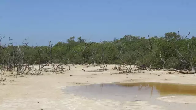Cuerpos de agua presentan descenso en sus niveles lo que afecta a productores y fauna silvestre