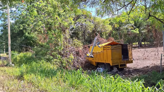 El camión de carga terminó fuera del camino y se estrelló contra un poste de luz.