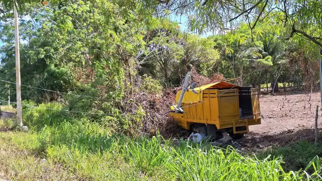 El camión de carga terminó fuera del camino y se estrelló contra un poste de luz.