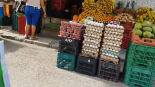 Baja el precio del huevo por sobreoferta