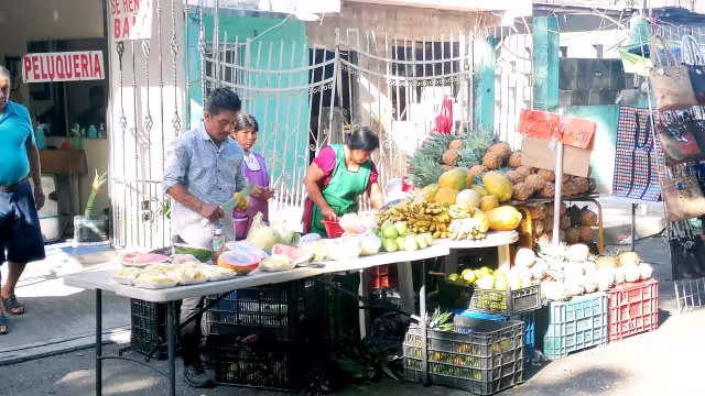 El 52.7 por ciento de los mayahablantes son varones: 92 mil 102, frente a las 82 mil 715 mujeres