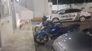 Investigan robo sin violencia a gasolinera en la cabecera municipal de Seybaplaya
