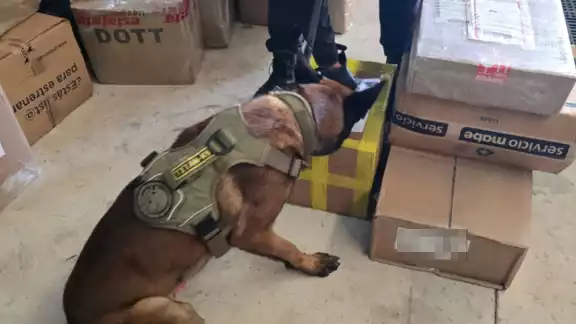 Logan del Grupo K9 logró la detección de las drogas.