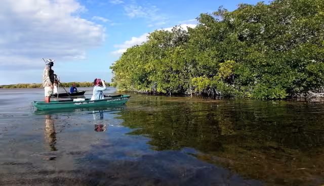 Yucatán trabaja con Semarnat para evitar daños ambientales similares a los de Mahahual