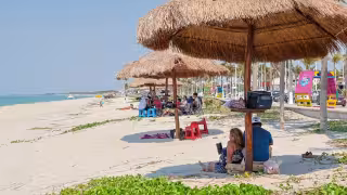 Consejo Consultivo de Turismo busca diversificar economía de Carmen