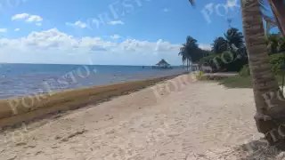 Los primeros arribos de sargazo en área norte se empezaron a percibir en el este de Cozumel, Tulum, Puerto Morelos, Playa del Carmen y Cancún