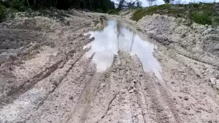 Comunidades rurales de Othón P. Blanco denuncian abandono en infraestructura y servicios públicos.